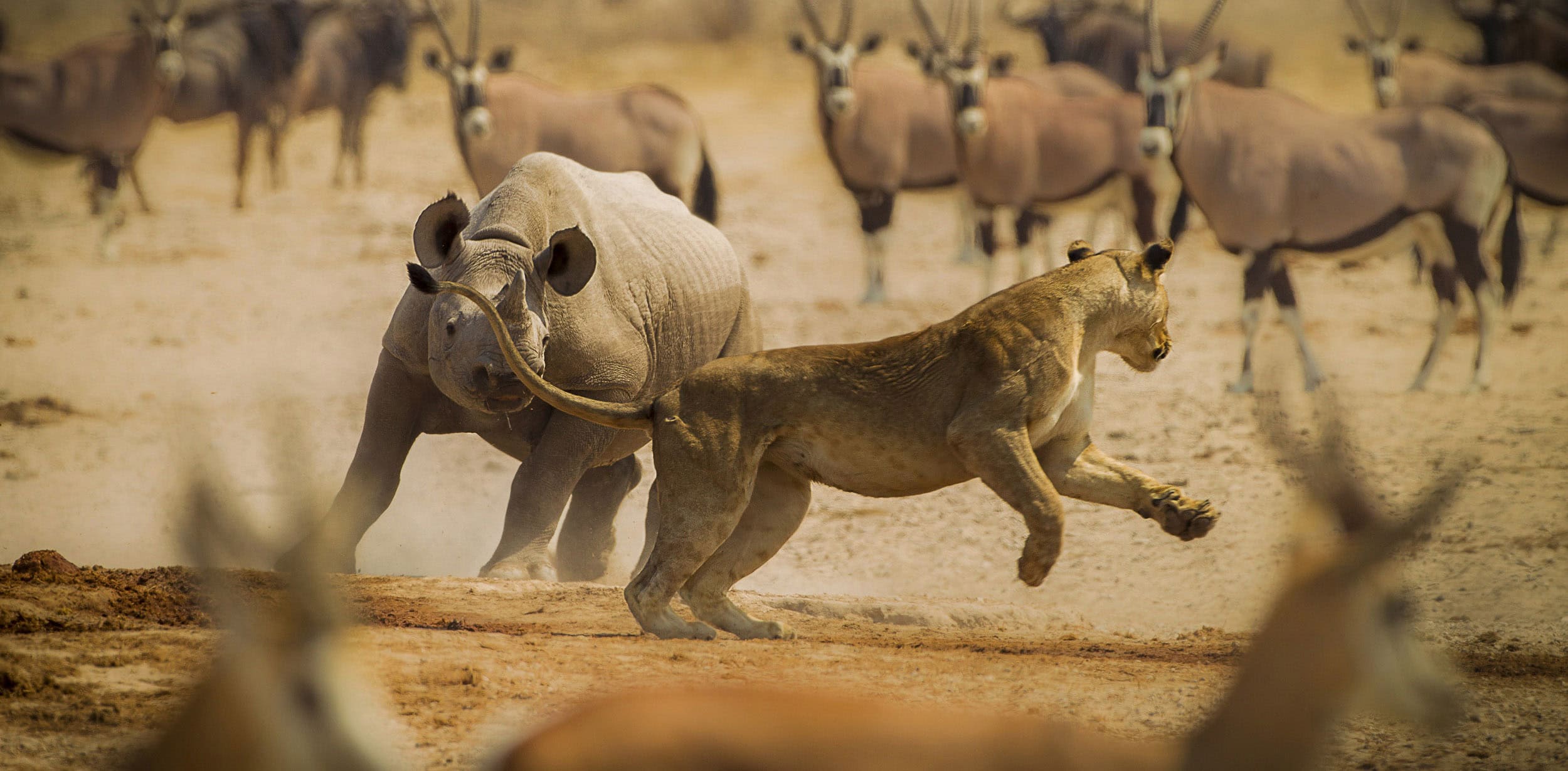 7 Day Cape Town to Namibia Safari (Lodge Africa Overland Tour)
